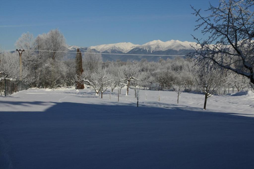 亚斯纳滑雪公寓式酒店 Pavčina Lehota 外观 照片